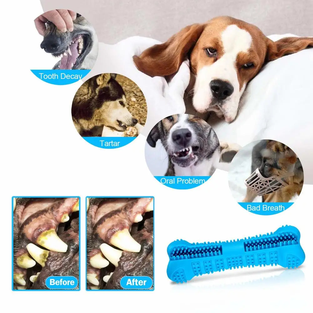 Soft Rubber Dog Toothbrush Chew Toy