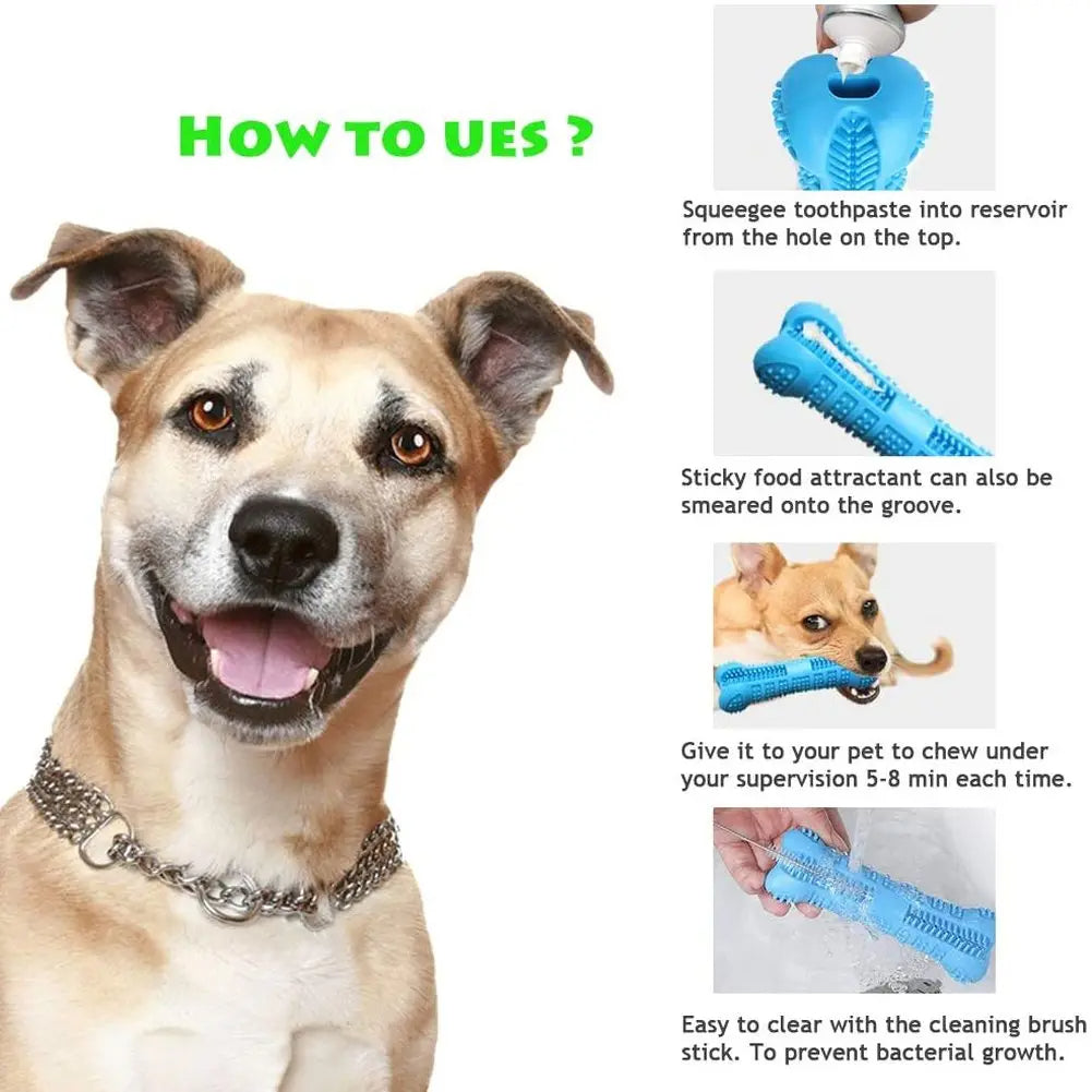 Soft Rubber Dog Toothbrush Chew Toy